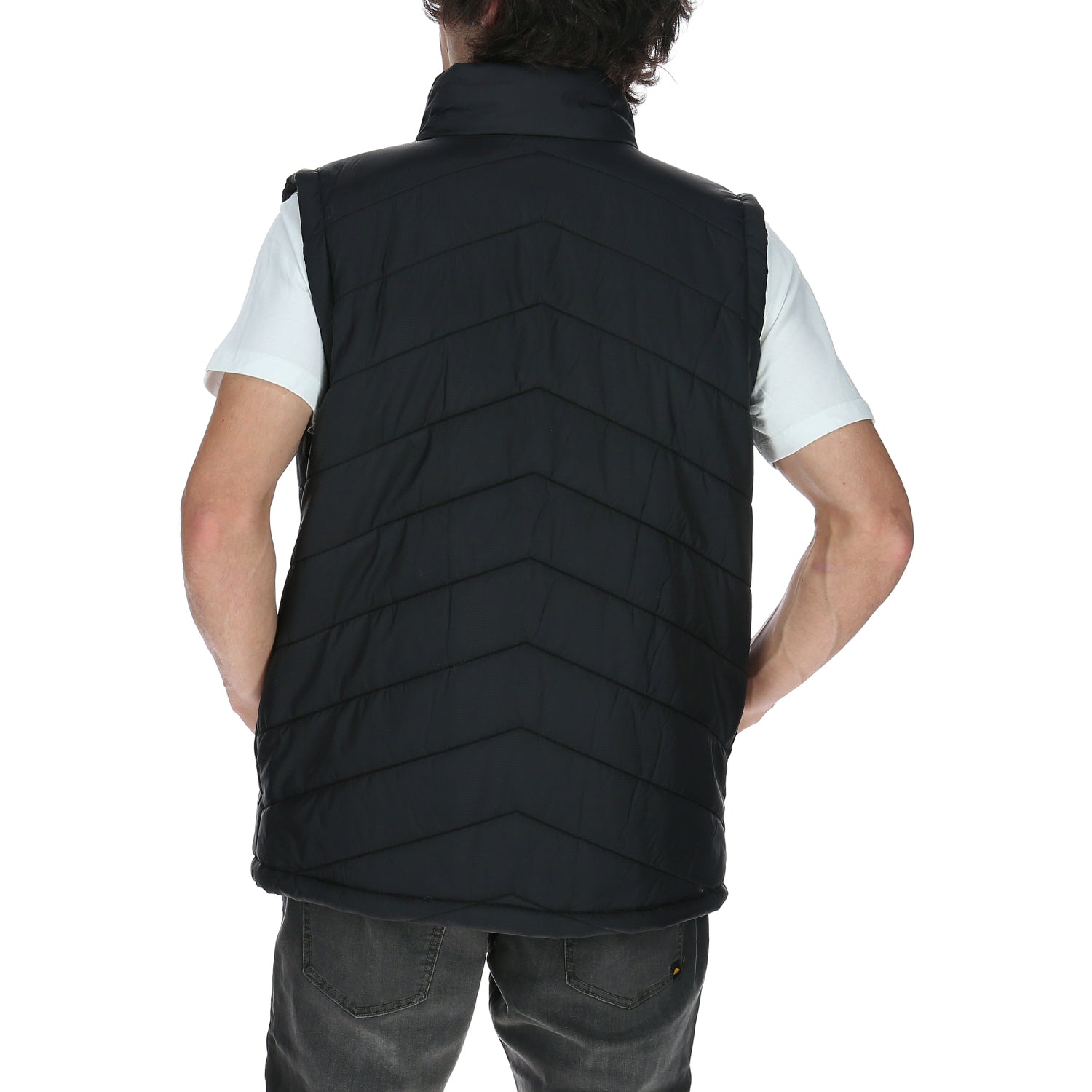 Parka Sin Mangas Hombre Essential Bodywarmer Cat