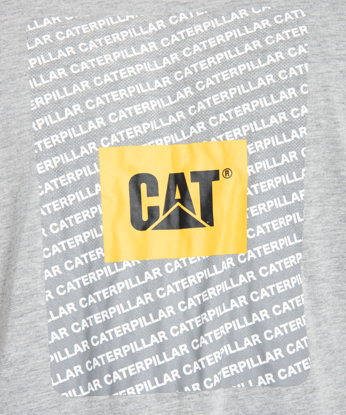 Pack Polera Casual Hombre Cat Repeat Graphic Tee / Cap Bundle Multicolor Cat