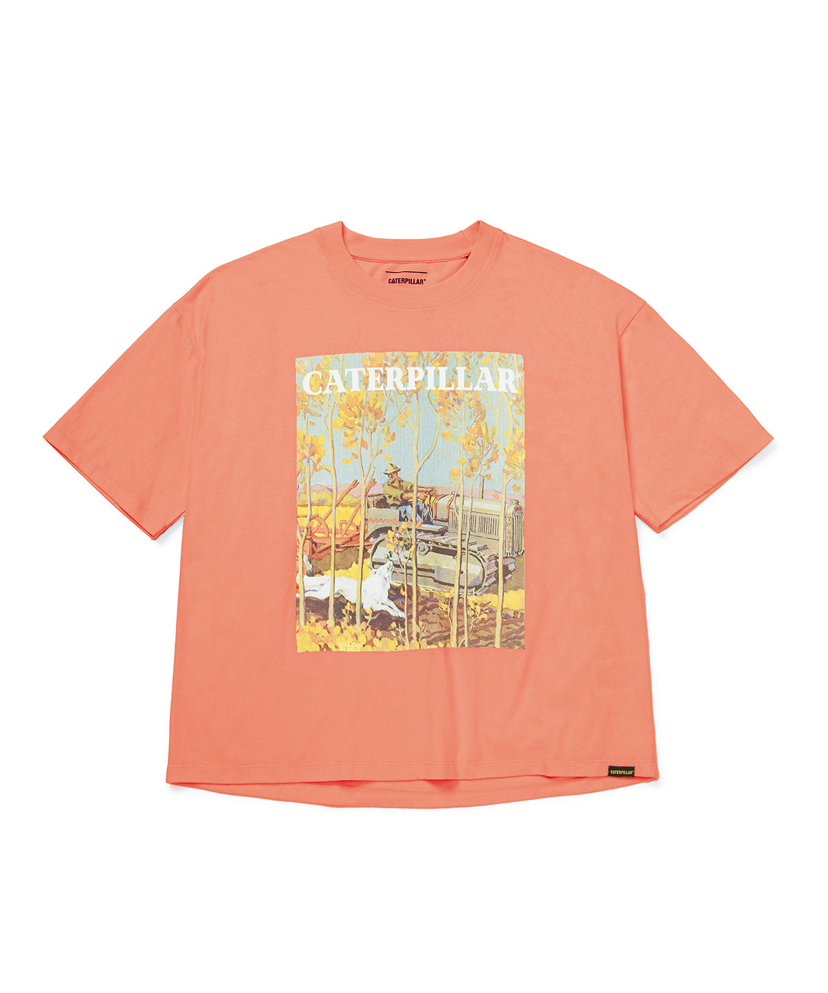 Polera Manga corta Casual Mujer BOXY NOVELTY TEE 2 Durazno CAT