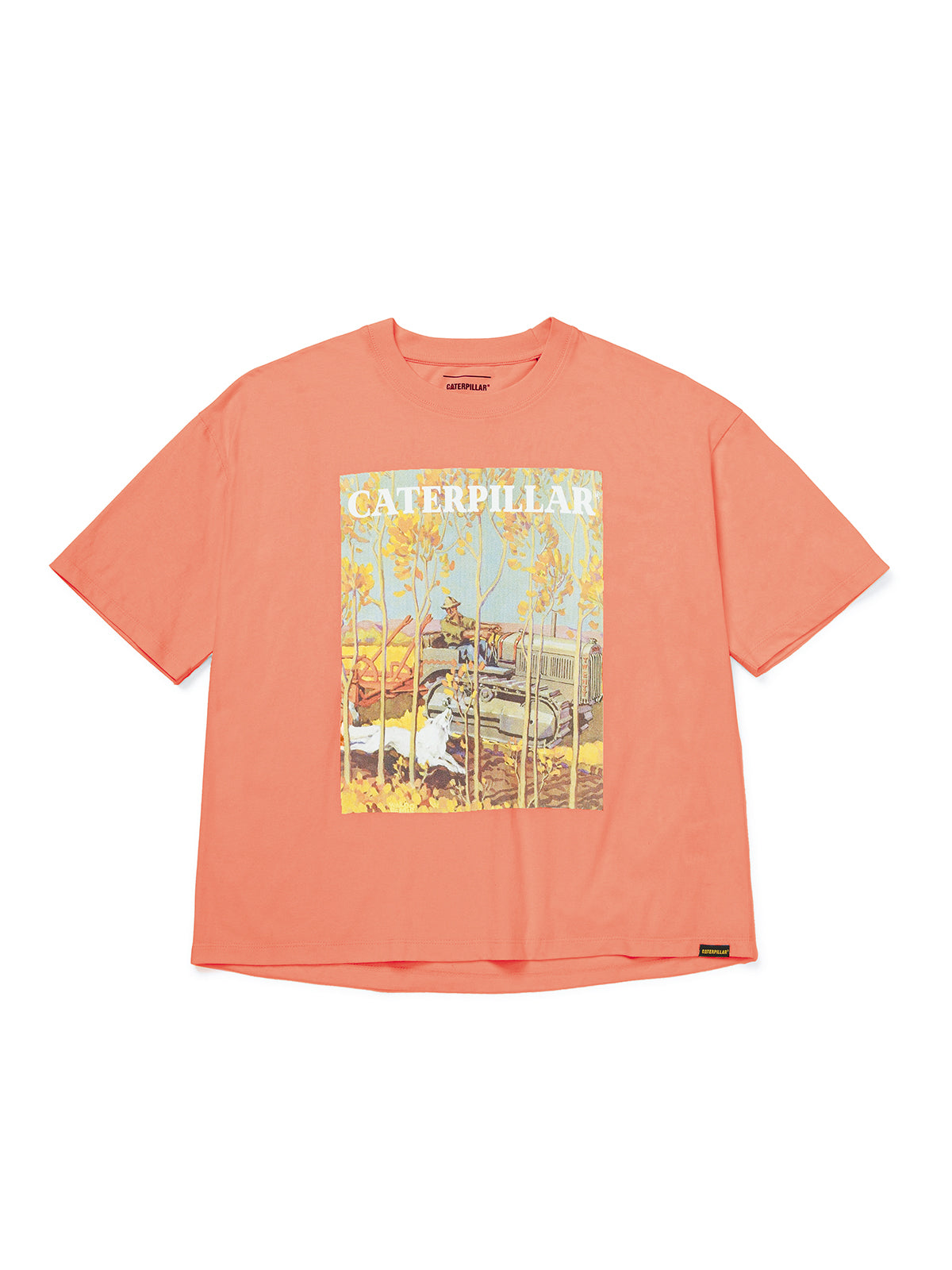 Polera Manga corta Casual Mujer BOXY NOVELTY TEE 2 Durazno CAT