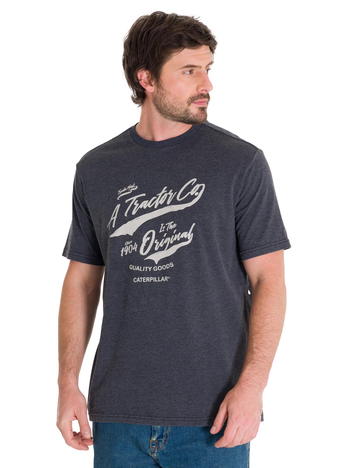 Polera Manga Corta Casual Hombre HISTORIC TRADITIONS GRAPHIC TEE Gris Oscura Cat