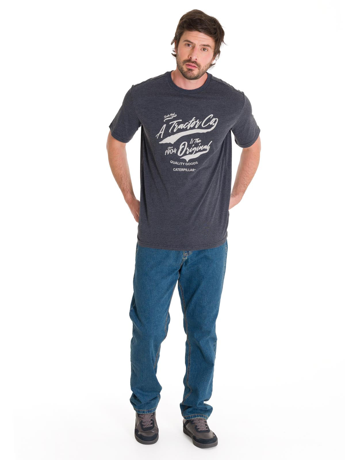 Polera Manga Corta Casual Hombre HISTORIC TRADITIONS GRAPHIC TEE Gris Oscura Cat