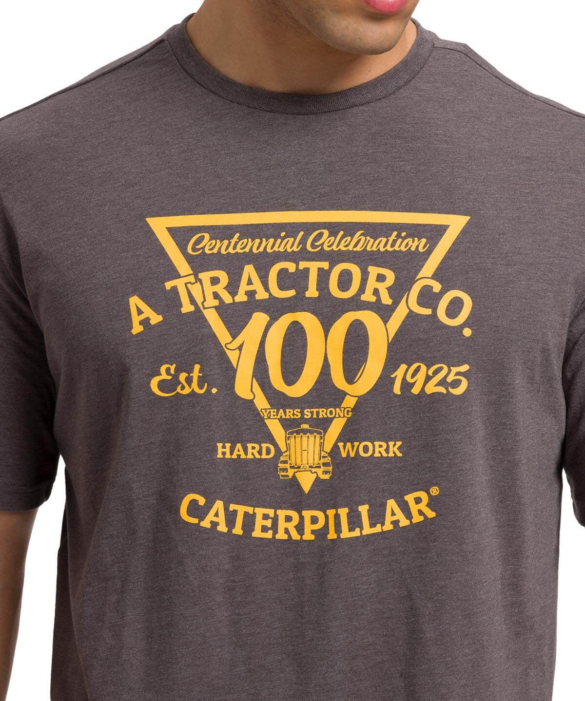 Polera Manga Corta Casual Hombre CENTENNIAL 100 YEARS GRAPHIC TEE  Gris Oscura Cat