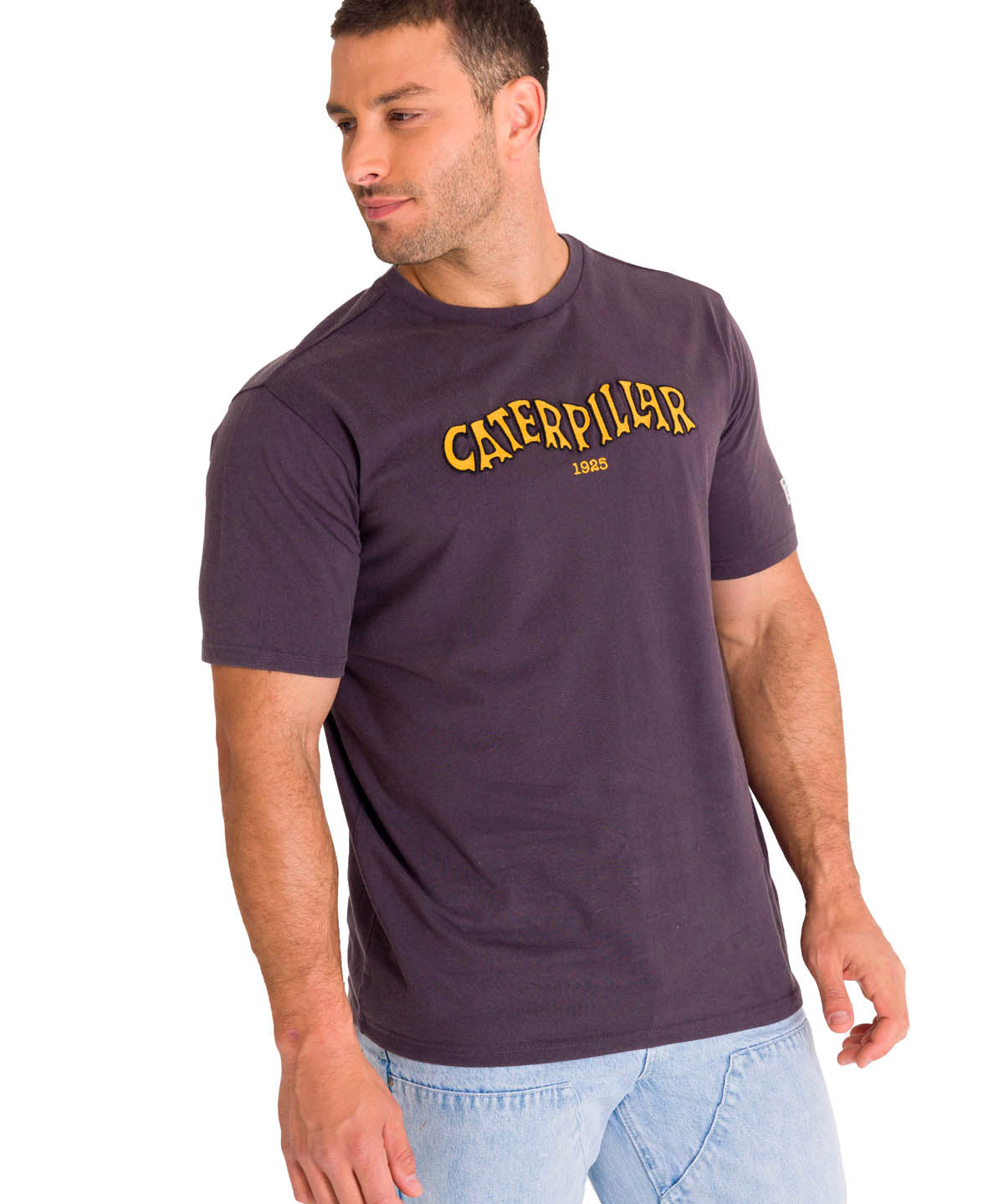 Polera Manga Corta Casual Hombre HERITAGE 1925 GRAPHIC TEE Carbón Cat