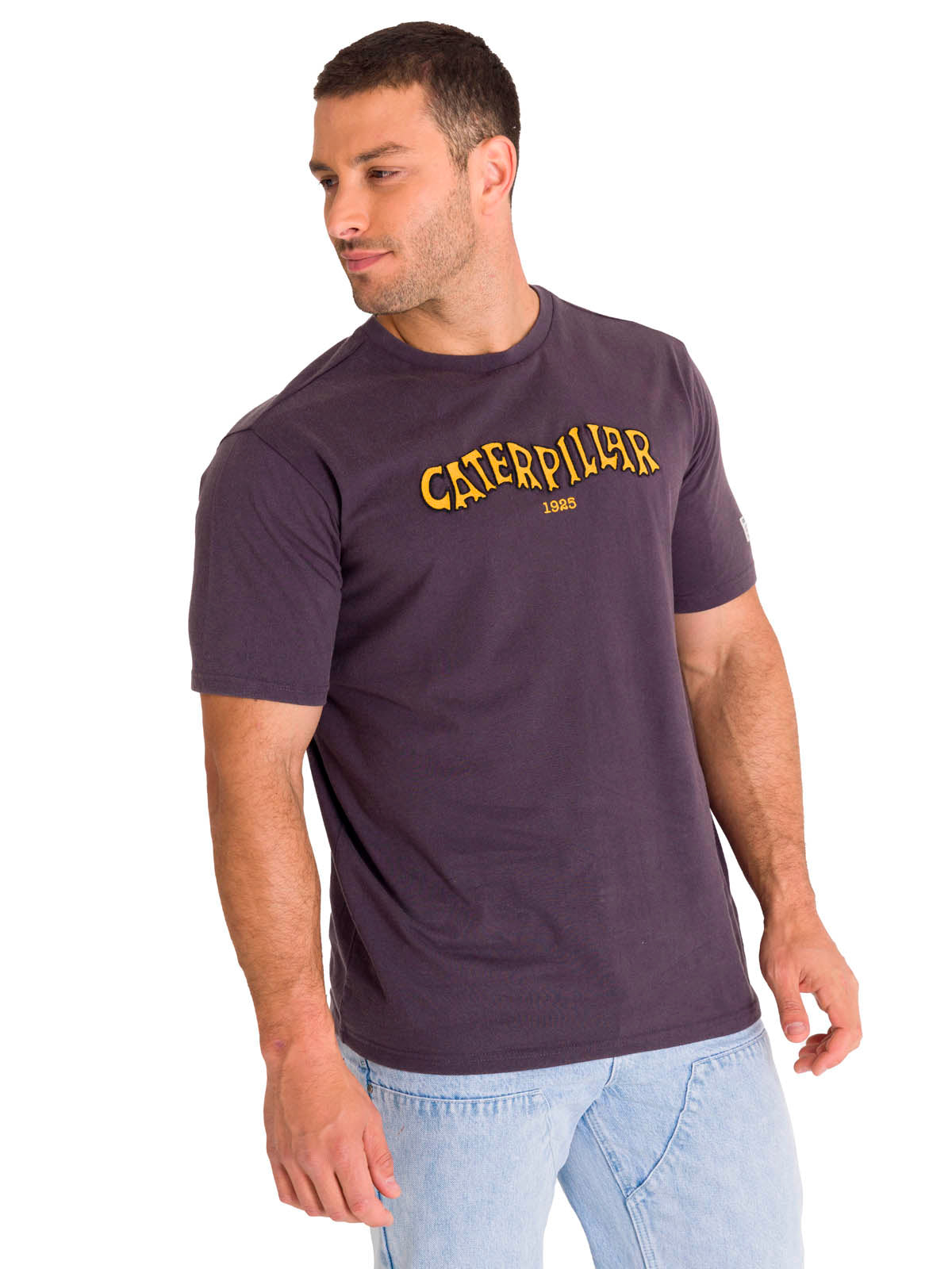 Polera Manga Corta Casual Hombre HERITAGE 1925 GRAPHIC TEE Carbón Cat