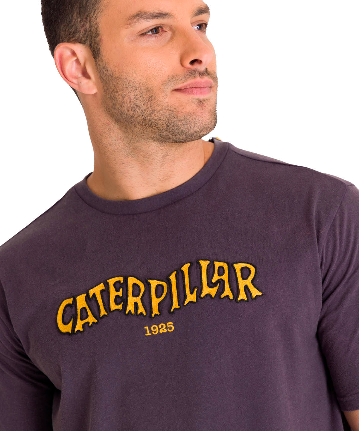 Polera Manga Corta Casual Hombre HERITAGE 1925 GRAPHIC TEE Carbón Cat