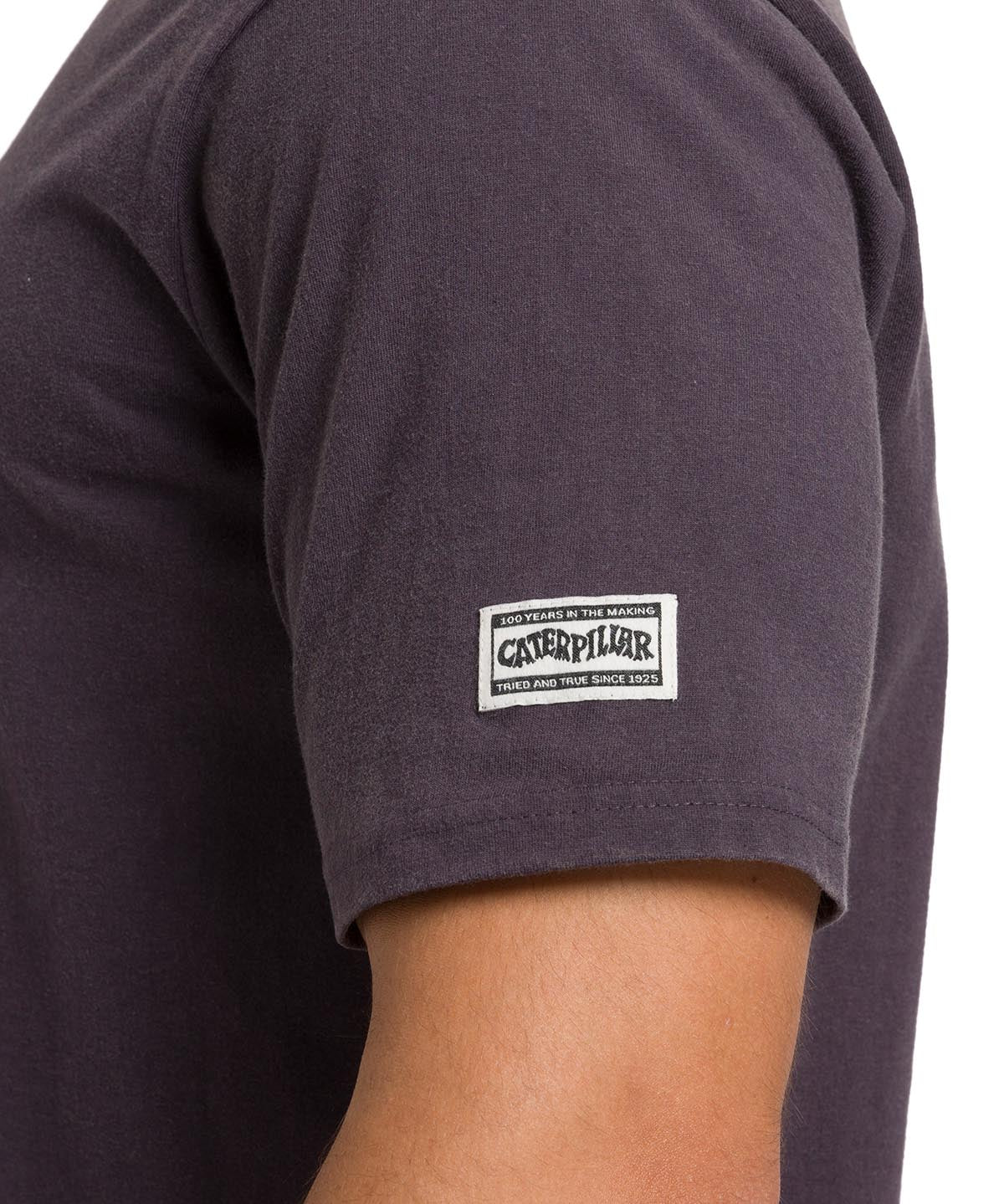 Polera Manga Corta Casual Hombre HERITAGE 1925 GRAPHIC TEE Carbón Cat