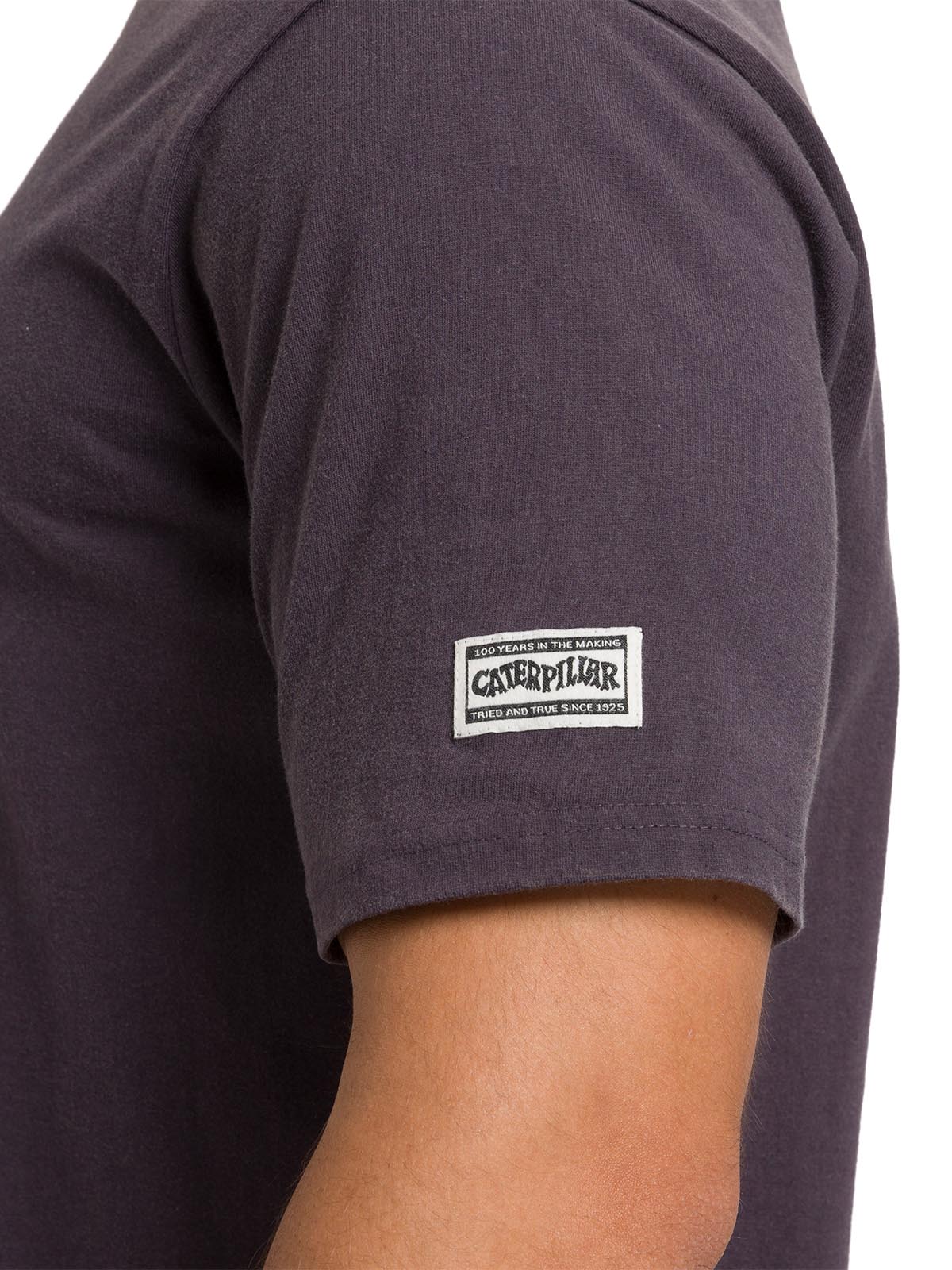 Polera Manga Corta Casual Hombre HERITAGE 1925 GRAPHIC TEE Carbón Cat