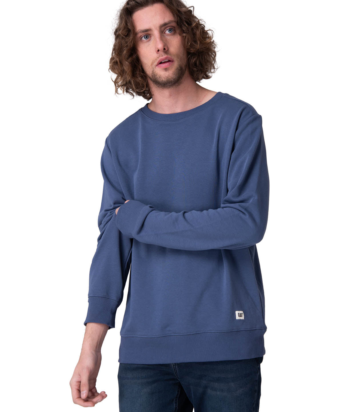 Poleron Hombre Cat Patch French Ter Azul