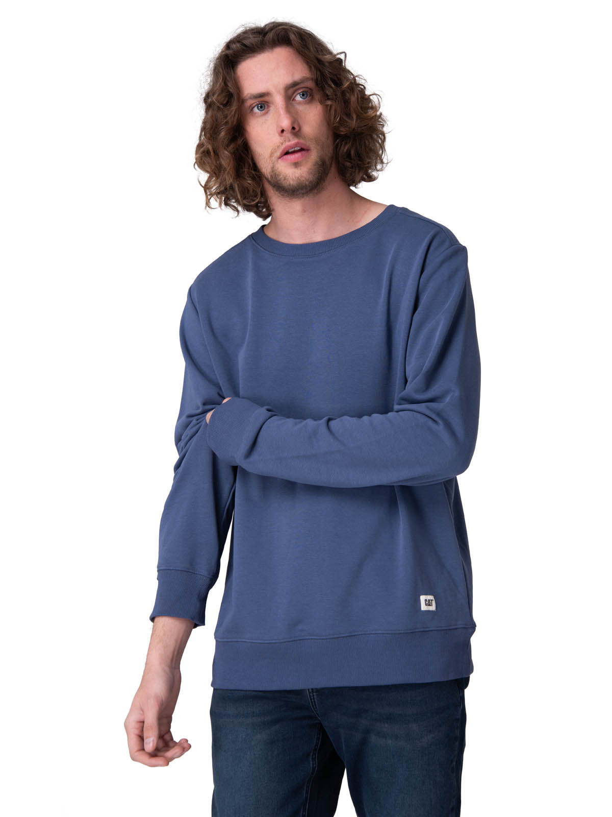 Poleron Hombre Cat Patch French Ter Azul