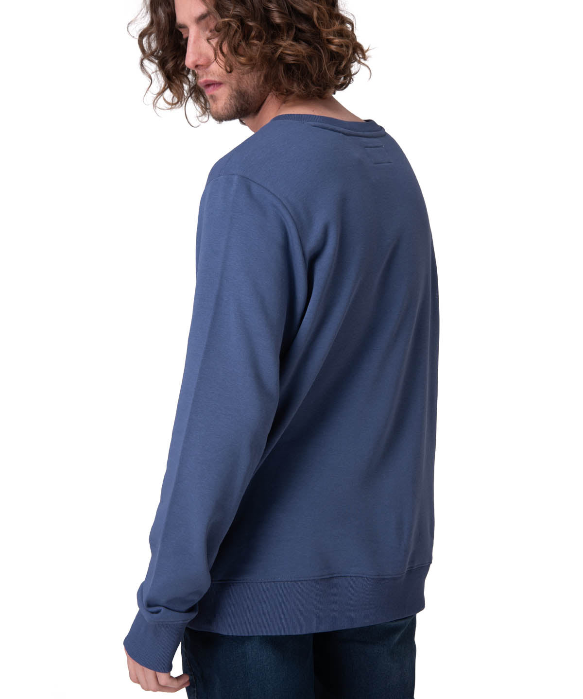 Poleron Hombre Cat Patch French Ter Azul