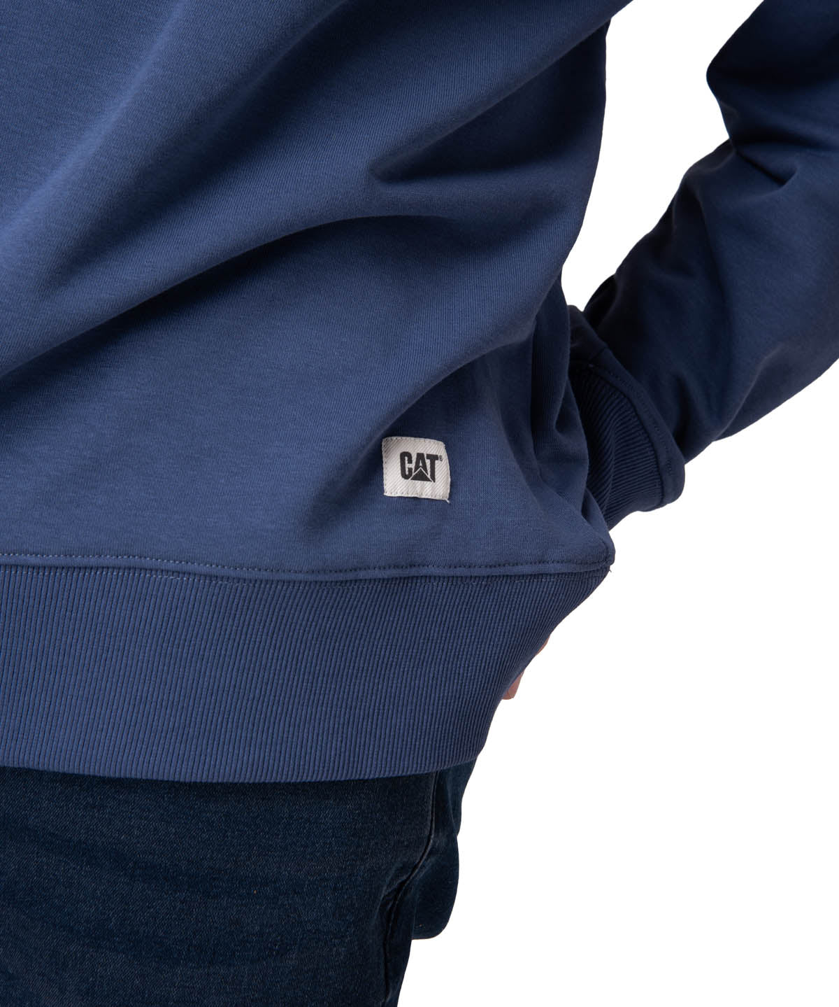 Poleron Hombre Cat Patch French Ter Azul