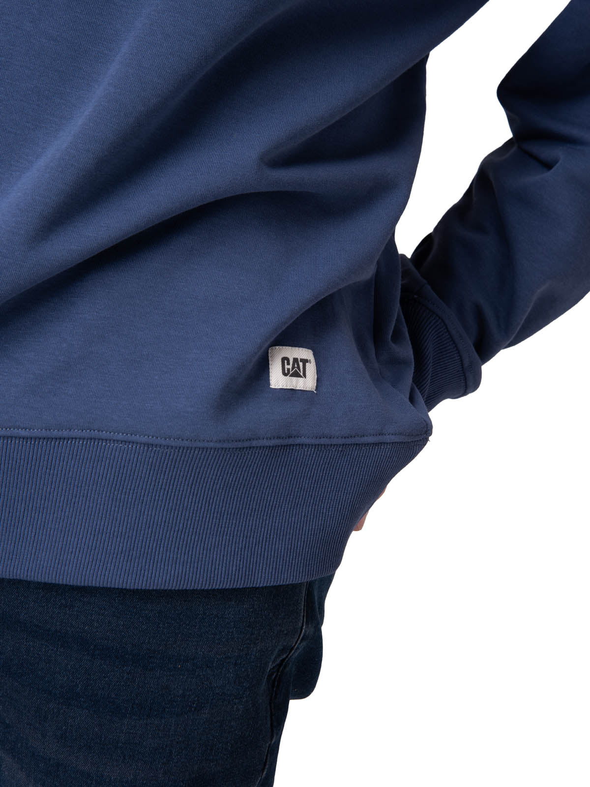 Poleron Hombre Cat Patch French Ter Azul