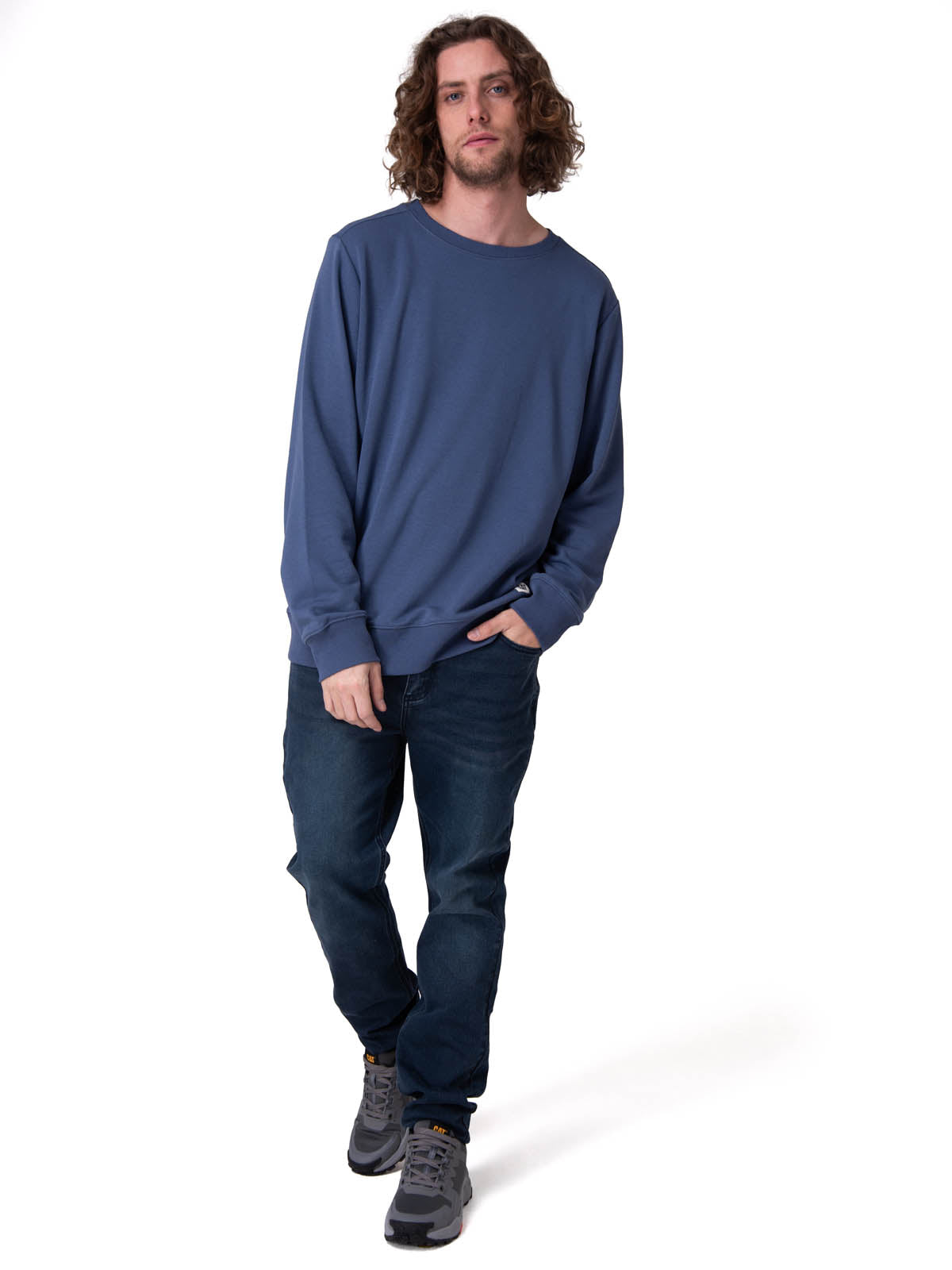 Poleron Hombre Cat Patch French Ter Azul