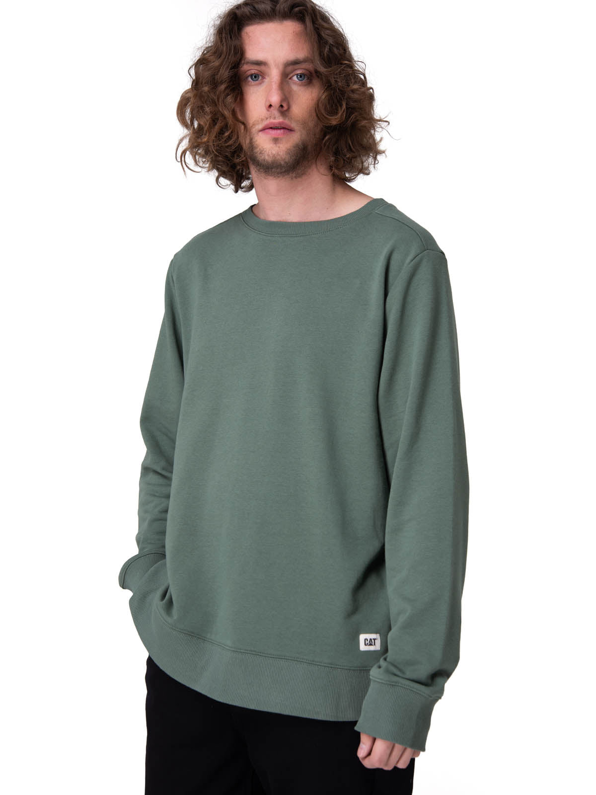 Poleron Hombre Cat Patch French Ter Verde