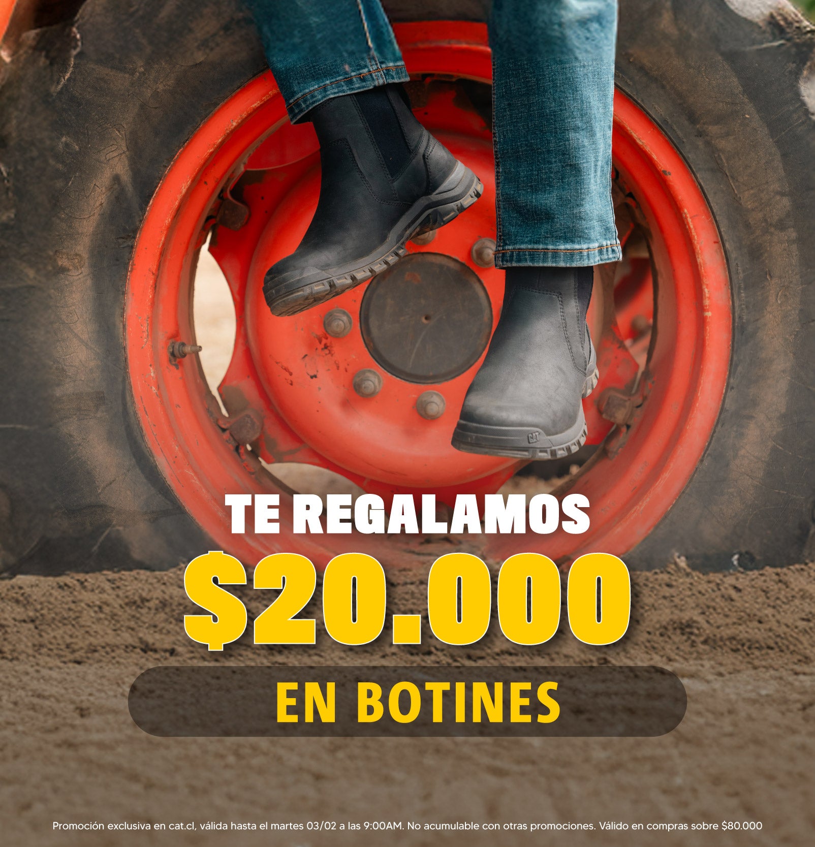 Imagen de diapositiva