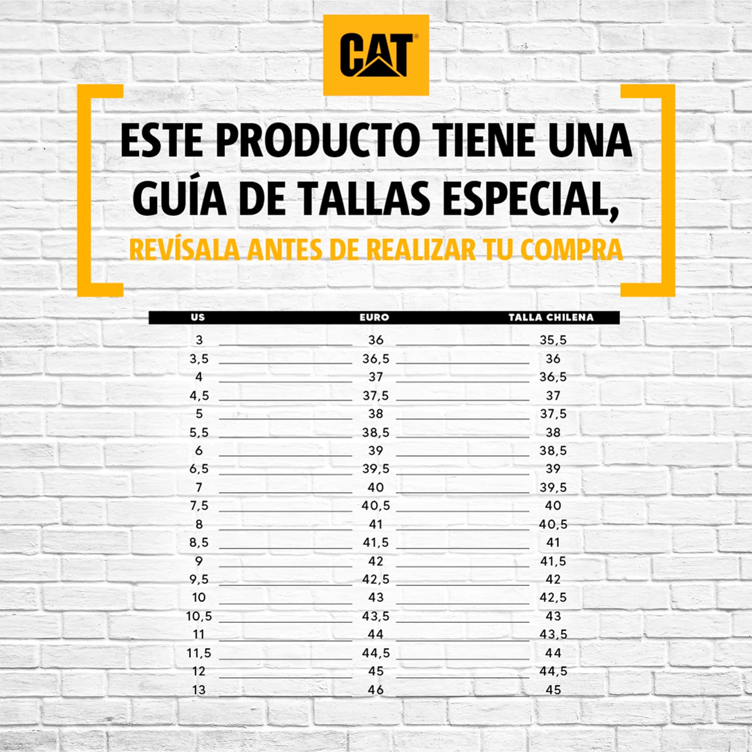 Zapatilla Intruder Mid Cat