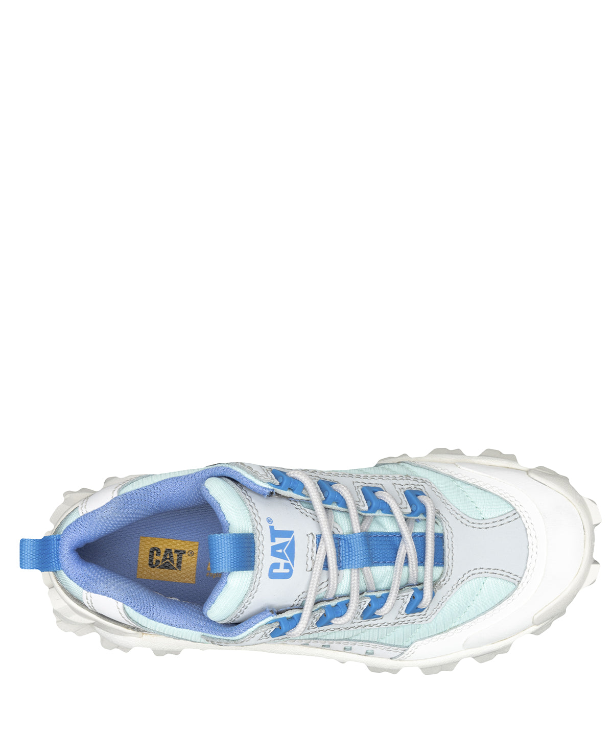 Zapatilla Unisex Intruder Cat