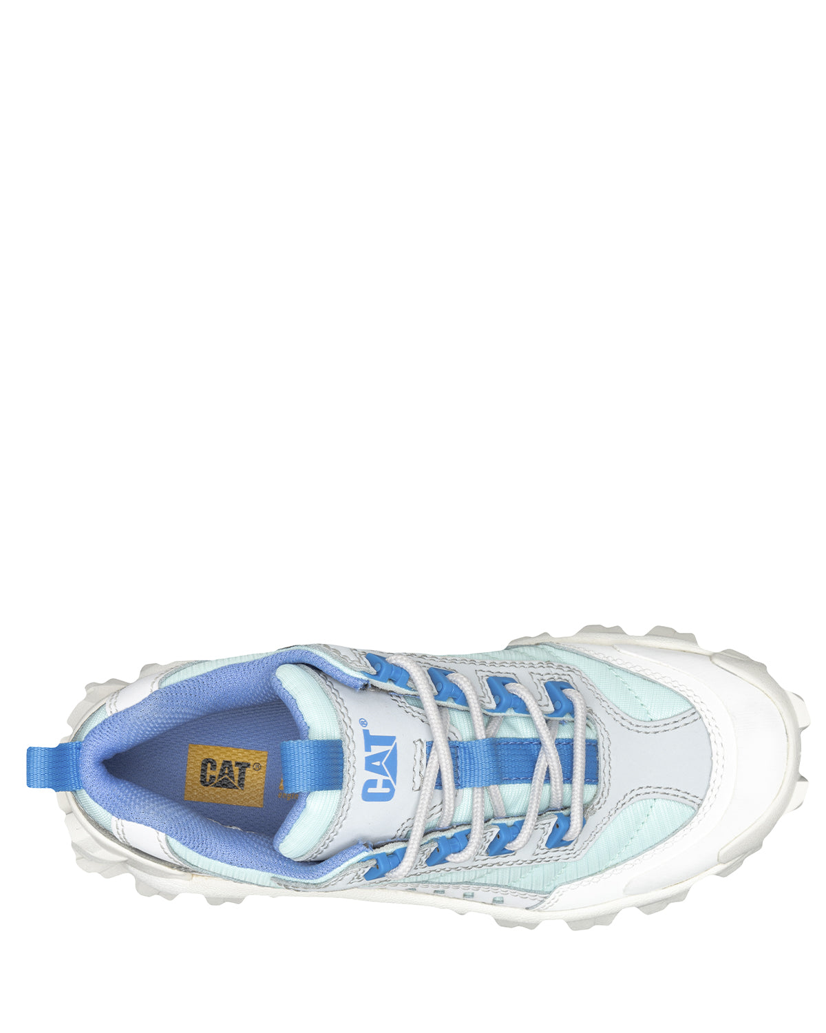 Zapatilla Unisex Intruder Cat