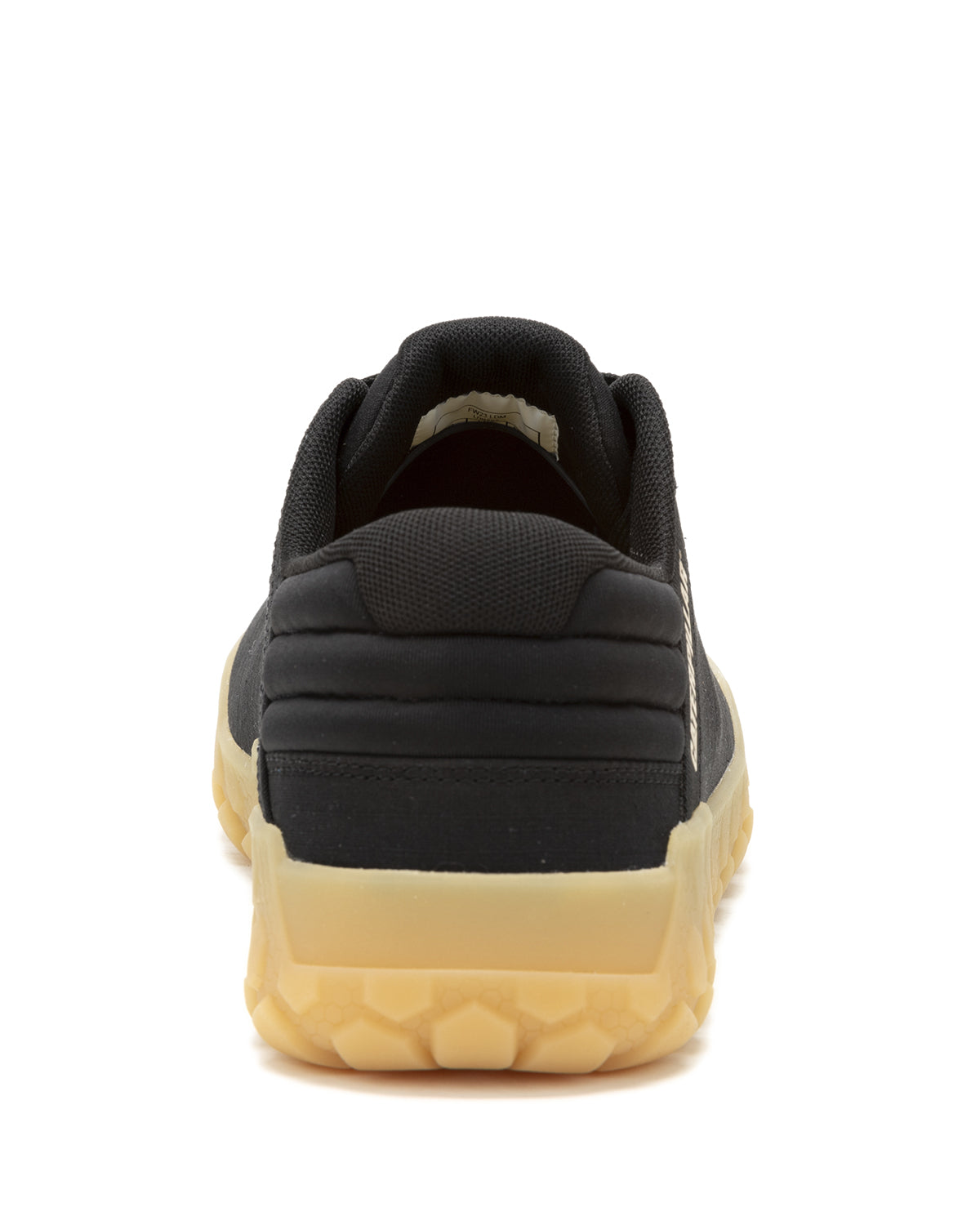 Zapatilla Hombre Hex + Canvas Cat