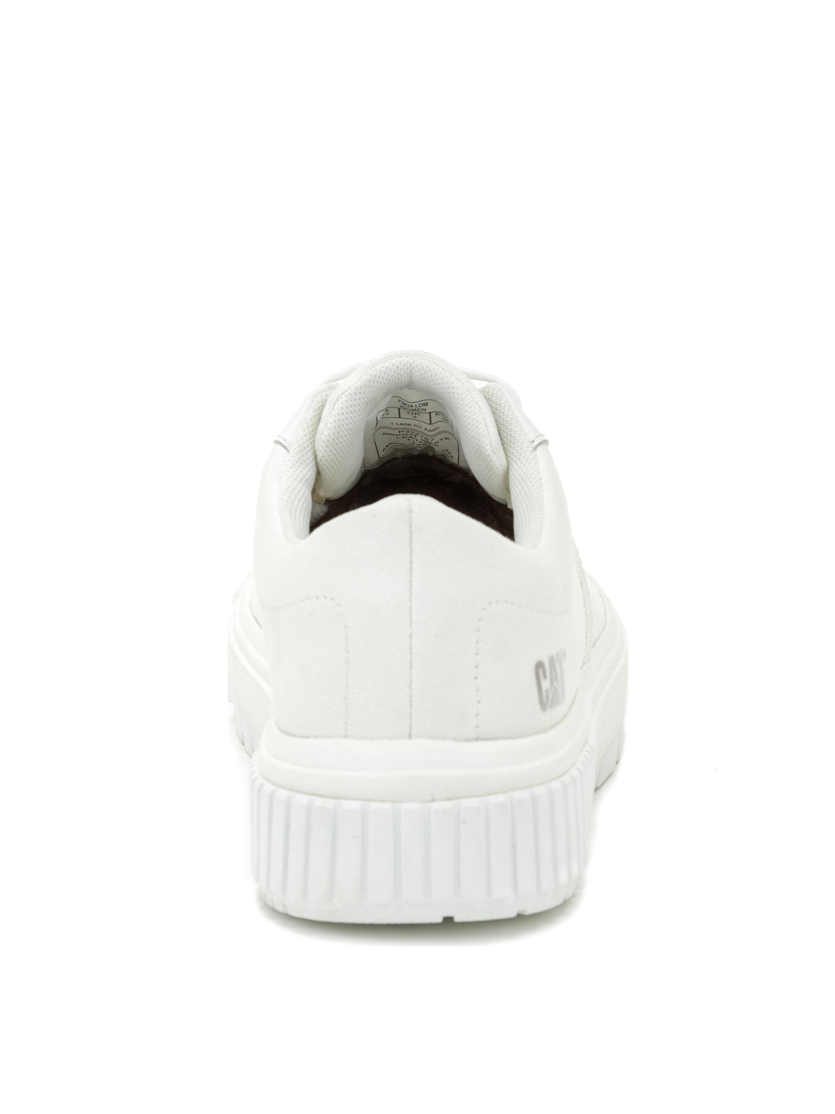 Zapatilla Casual Mujer Amp Canvas Blanco Cat